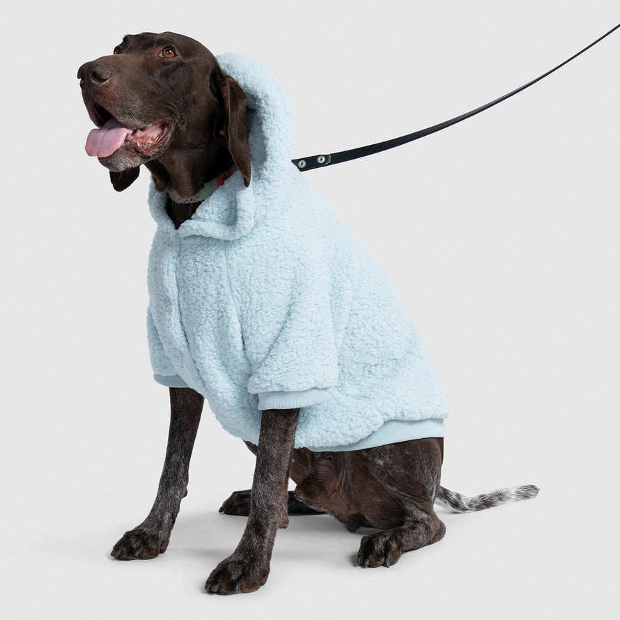 Blue Sherpa Dog Oodie