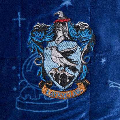 Harry Potter Ravenclaw