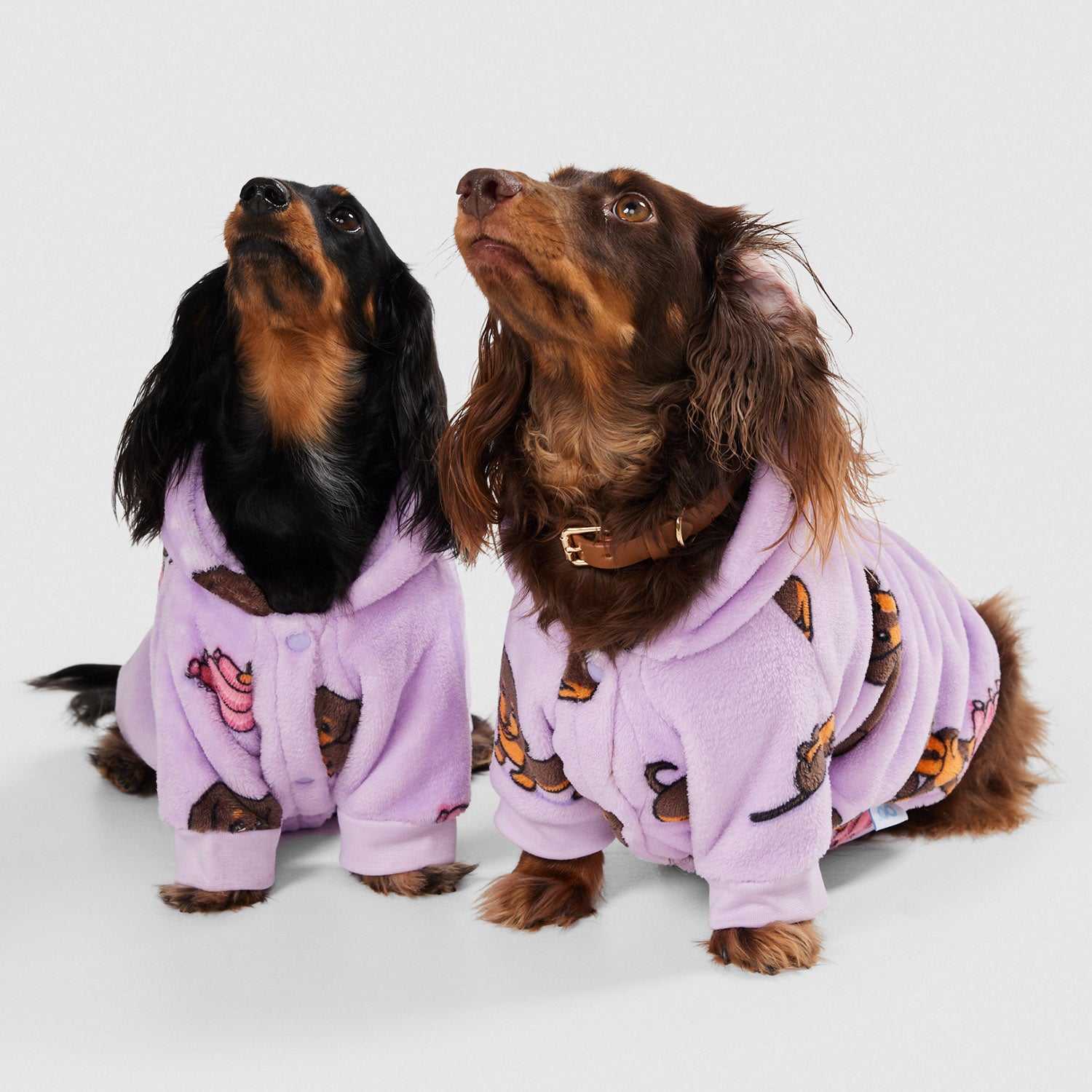 Hoodie Sausage Dog Throw Dog Blanket Pet Oodies Dog Oodies